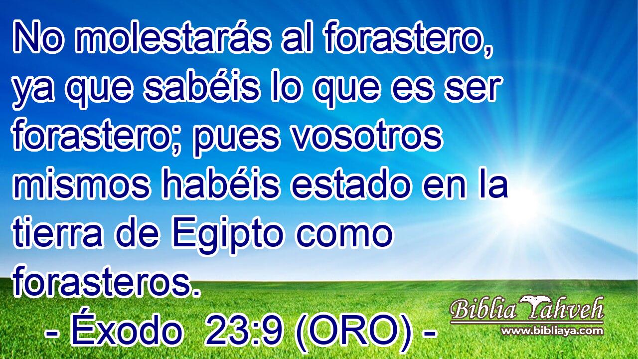  No molestarás al forastero, ya que sabéis lo que es ser forastero; pues vosotros mismos habéis estado en la tierra de Egipto como forasteros. 