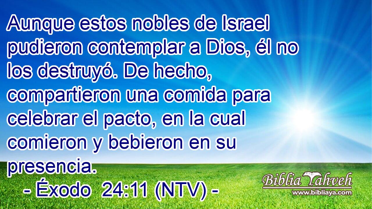 Aunque estos nobles de Israel pudieron contemplar a Dios, él no los destruyó. De hecho, compartieron una comida para celebrar el pacto, en la cual comieron y bebieron en su presencia.