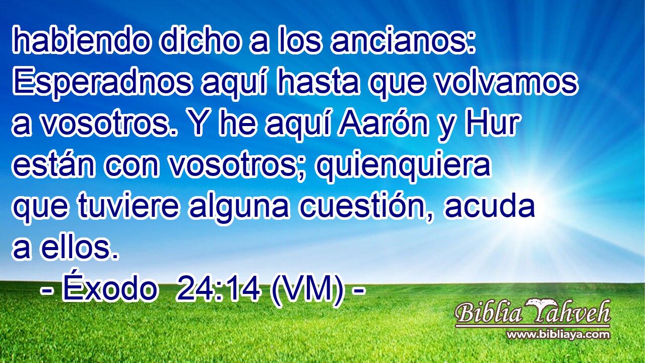  habiendo dicho a los ancianos: Esperadnos aquí hasta que volvamos a vosotros. Y he aquí Aarón y Hur están con vosotros; quienquiera que tuviere alguna cuestión, acuda a ellos. 