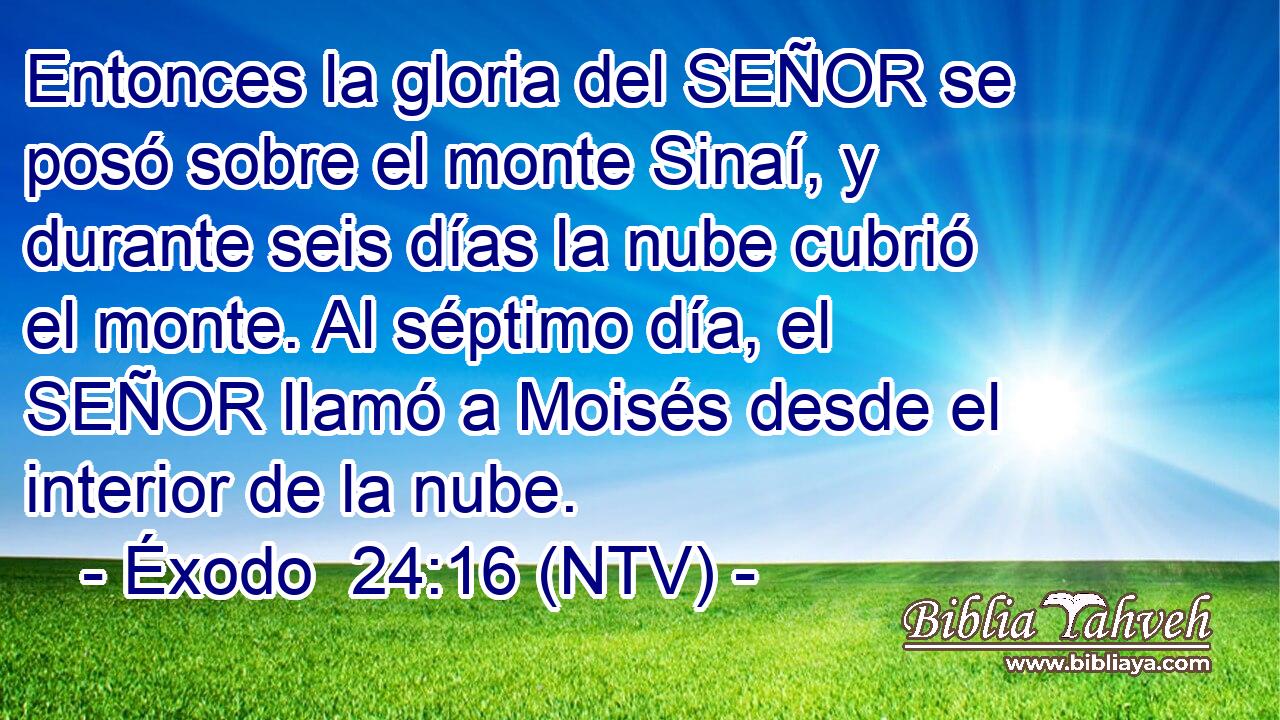 Entonces la gloria del SEÑOR se posó sobre el monte Sinaí, y durante seis días la nube cubrió el monte. Al séptimo día, el SEÑOR llamó a Moisés desde el interior de la nube.