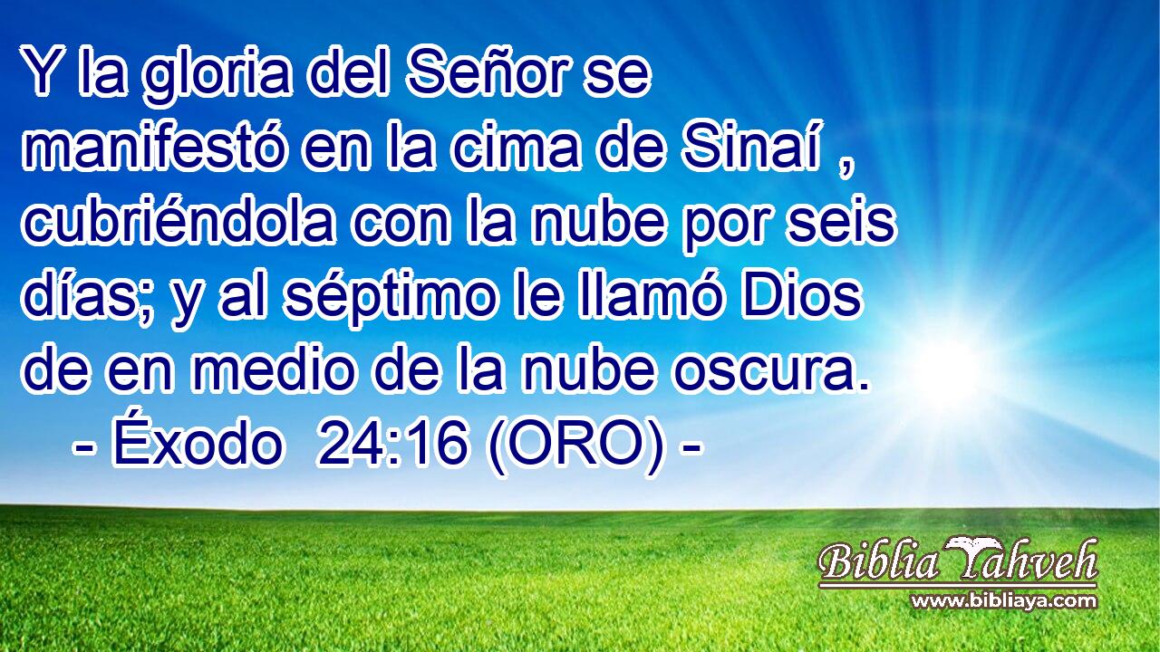  Y la gloria del Señor se manifestó en la cima de Sinaí , cubriéndola con la nube por seis días; y al séptimo le llamó Dios de en medio de la nube oscura. 