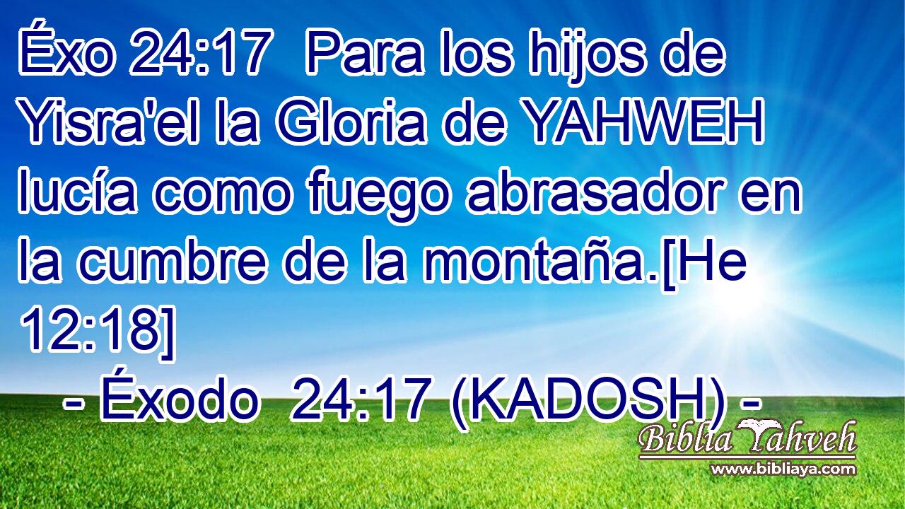  Para los hijos de Yisra'el la Gloria de YAHWEH lucía como fuego abrasador en la cumbre de la montaña.[He 12:18] 