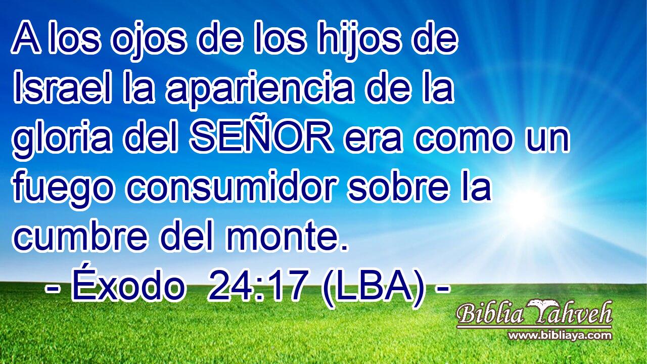 A los ojos de los hijos de Israel la apariencia de la gloria del SEÑOR era como un fuego consumidor sobre la cumbre del monte.