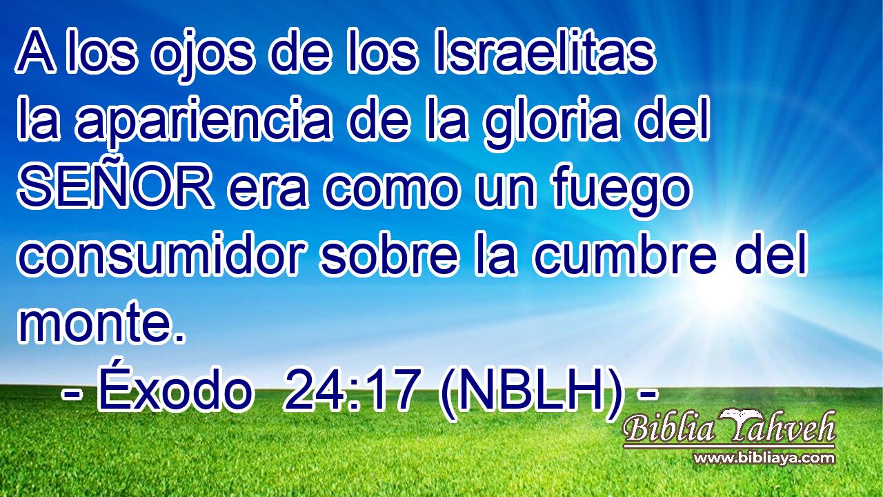  A los ojos de los Israelitas la apariencia de la gloria del SEÑOR era como un fuego consumidor sobre la cumbre del monte. 