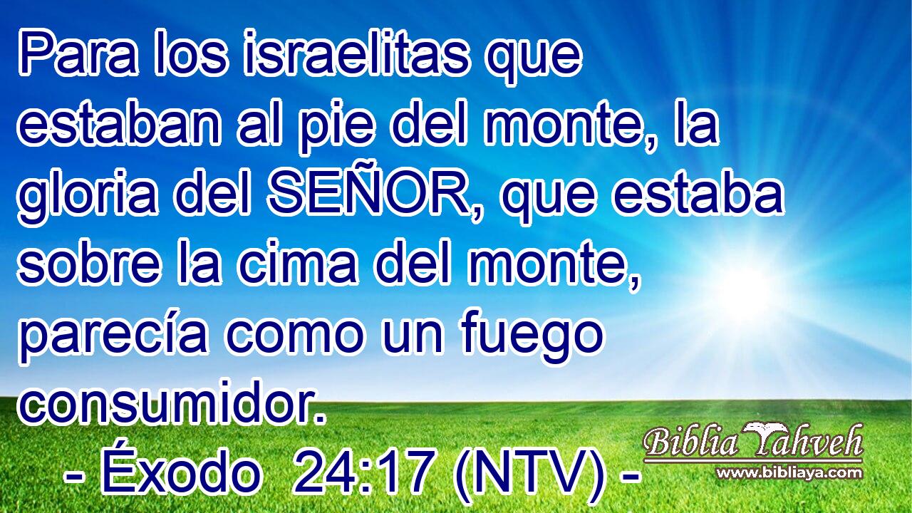 Para los israelitas que estaban al pie del monte, la gloria del SEÑOR, que estaba sobre la cima del monte, parecía como un fuego consumidor.