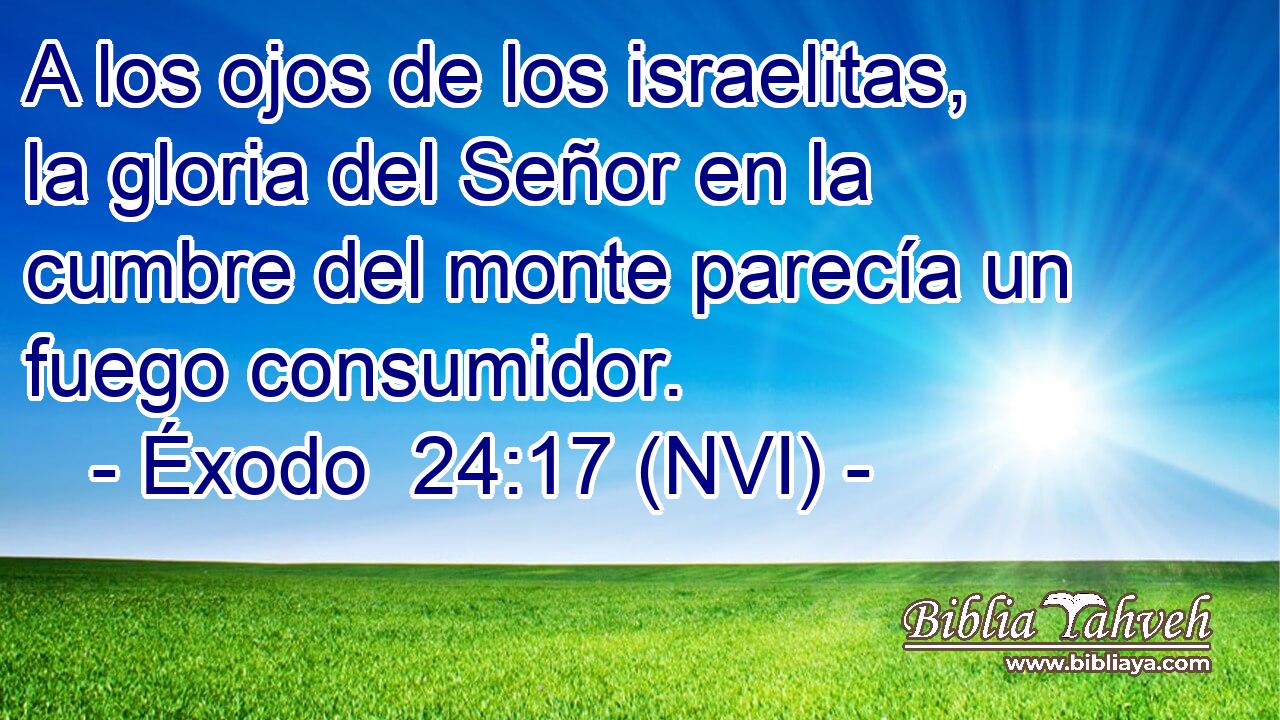  A los ojos de los israelitas, la gloria del Señor en la cumbre del monte parecía un fuego consumidor. 