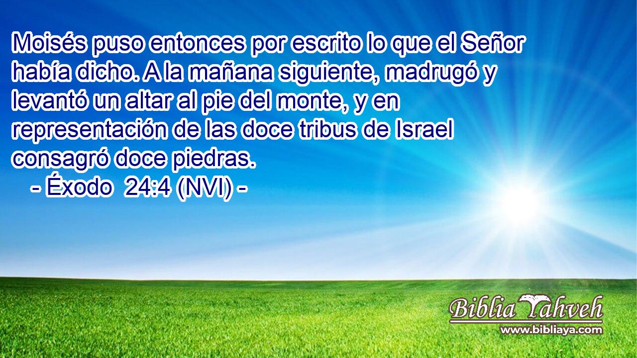  Moisés puso entonces por escrito lo que el Señor había dicho. A la mañana siguiente, madrugó y levantó un altar al pie del monte, y en representación de las doce tribus de Israel consagró doce piedras. 