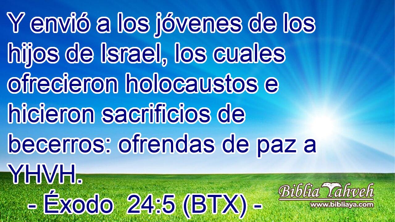 Y envió a los jóvenes de los hijos de Israel, los cuales ofrecieron holocaustos e hicieron sacrificios de becerros: ofrendas de paz a YHVH.