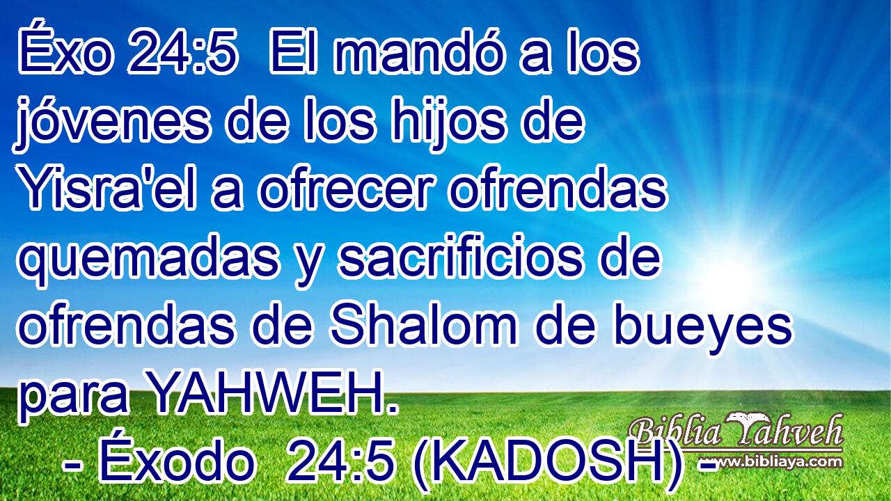  El mandó a los jóvenes de los hijos de Yisra'el a ofrecer ofrendas quemadas y sacrificios de ofrendas de Shalom de bueyes para YAHWEH. 