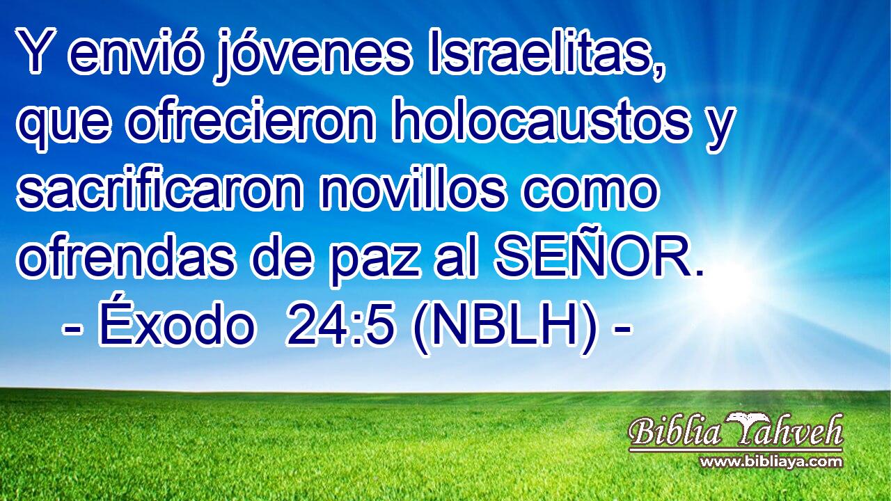  Y envió jóvenes Israelitas, que ofrecieron holocaustos y sacrificaron novillos como ofrendas de paz al SEÑOR. 