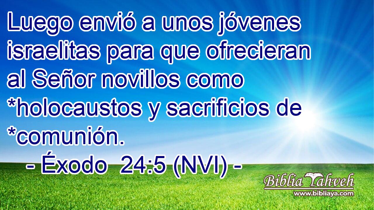  Luego envió a unos jóvenes israelitas para que ofrecieran al Señor novillos como *holocaustos y sacrificios de *comunión. 