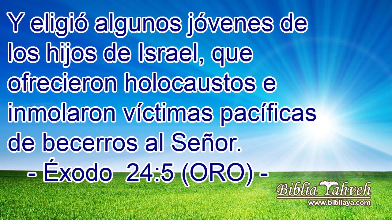  Y eligió algunos jóvenes de los hijos de Israel, que ofrecieron holocaustos e inmolaron víctimas pacíficas de becerros al Señor. 