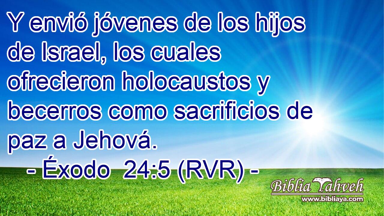Y envió jóvenes de los hijos de Israel, los cuales ofrecieron holocaustos y becerros como sacrificios de paz a Jehová.