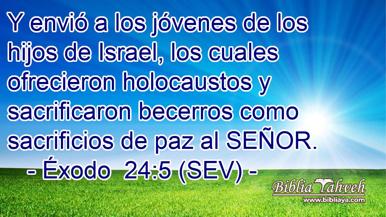Y envió a los jóvenes de los hijos de Israel, los cuales ofrecieron holocaustos y sacrificaron becerros como sacrificios de paz al SEÑOR.
