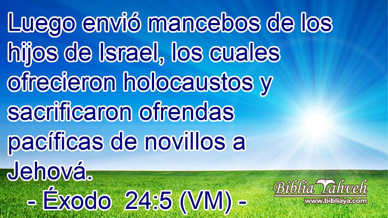 Luego envió mancebos de los hijos de Israel, los cuales ofrecieron holocaustos y sacrificaron ofrendas pacíficas de novillos a Jehová. 