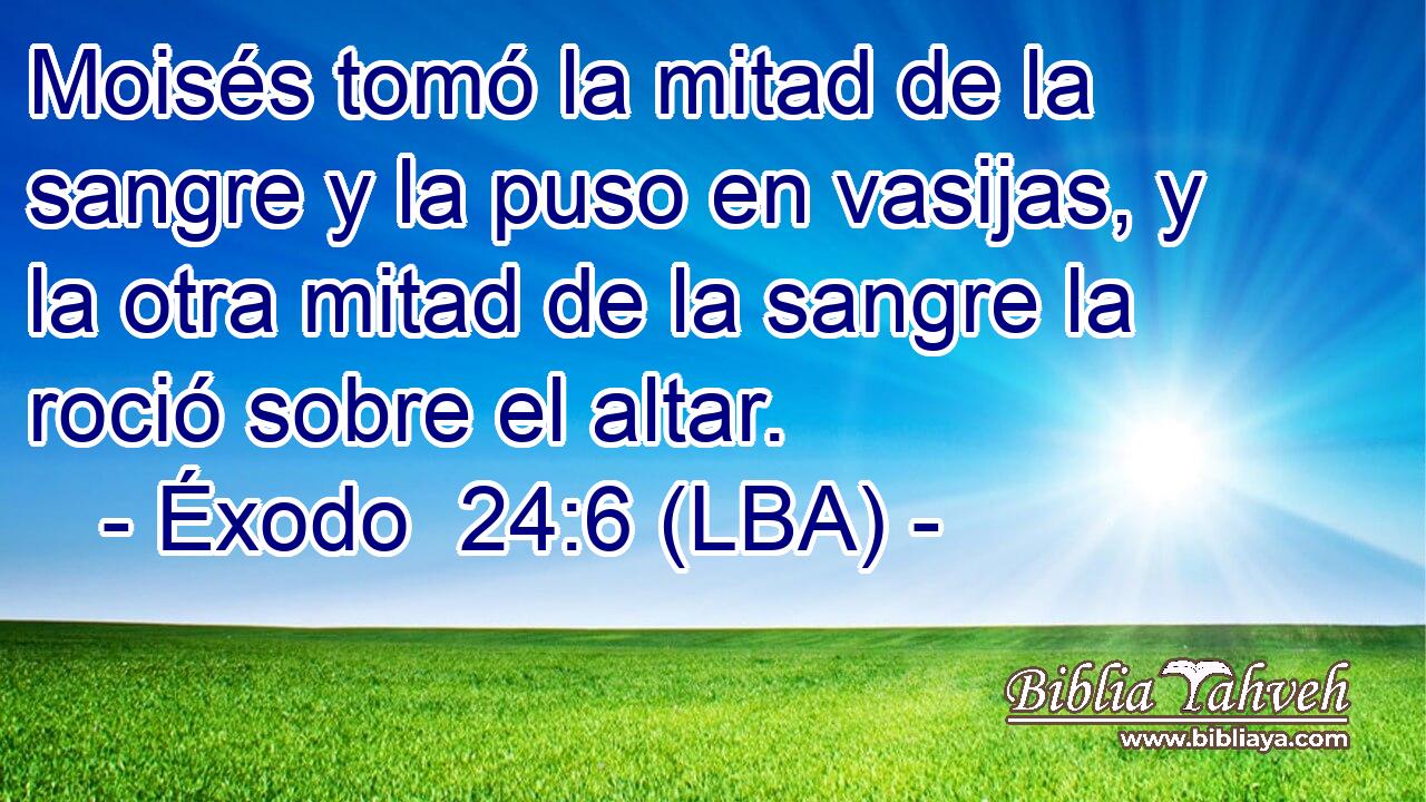 Moisés tomó la mitad de la sangre y la puso en vasijas, y la otra mitad de la sangre la roció sobre el altar.