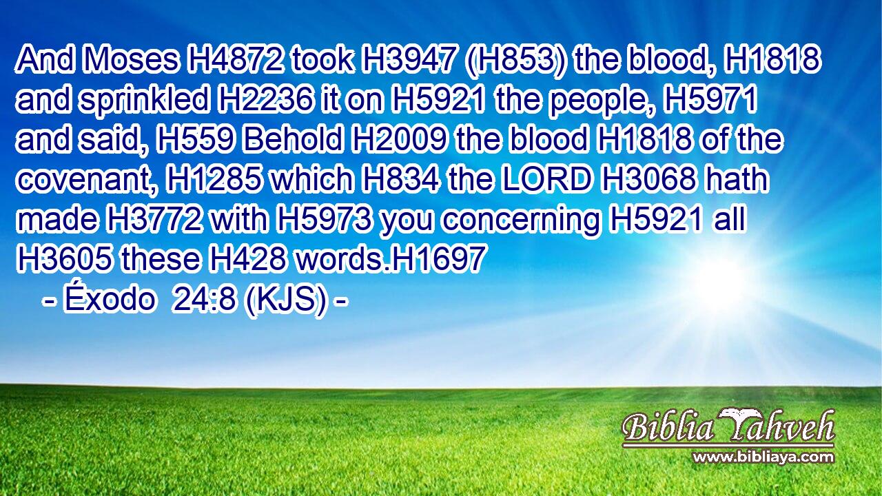 And Moses H4872 took H3947 (H853) the blood, H1818 and sprinkled H2236 it on H5921 the people, H5971 and said, H559 Behold H2009 the blood H1818 of the covenant, H1285 which H834 the LORD H3068 hath made H3772 with H5973 you concerning H5921 all H3605 these H428 words.H1697