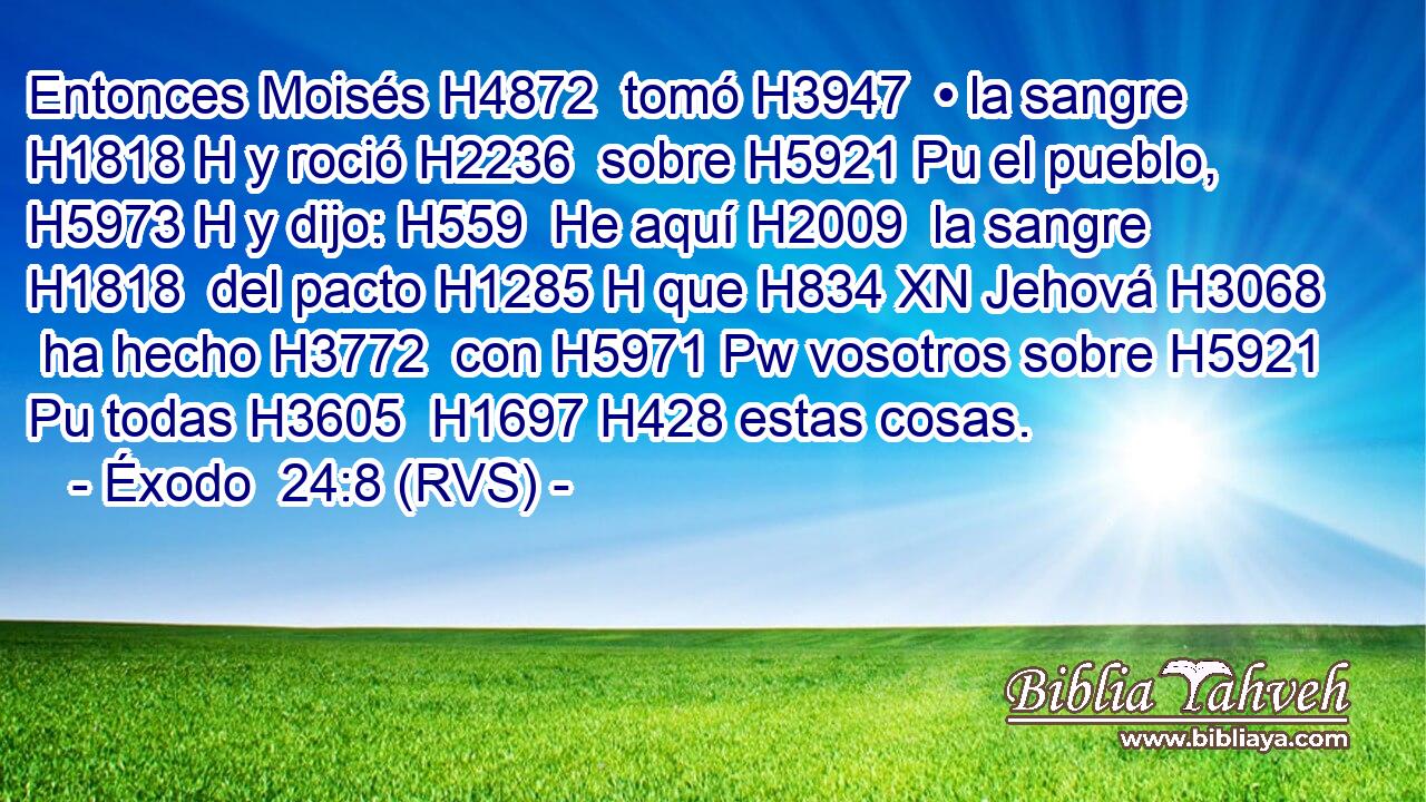 Entonces Moisés H4872  tomó H3947  • la sangre H1818 H y roció H2236  sobre H5921 Pu el pueblo, H5973 H y dijo: H559  He aquí H2009  la sangre H1818  del pacto H1285 H que H834 XN Jehová H3068  ha hecho H3772  con H5971 Pw vosotros sobre H5921 Pu todas H3605  H1697 H428 estas cosas. 