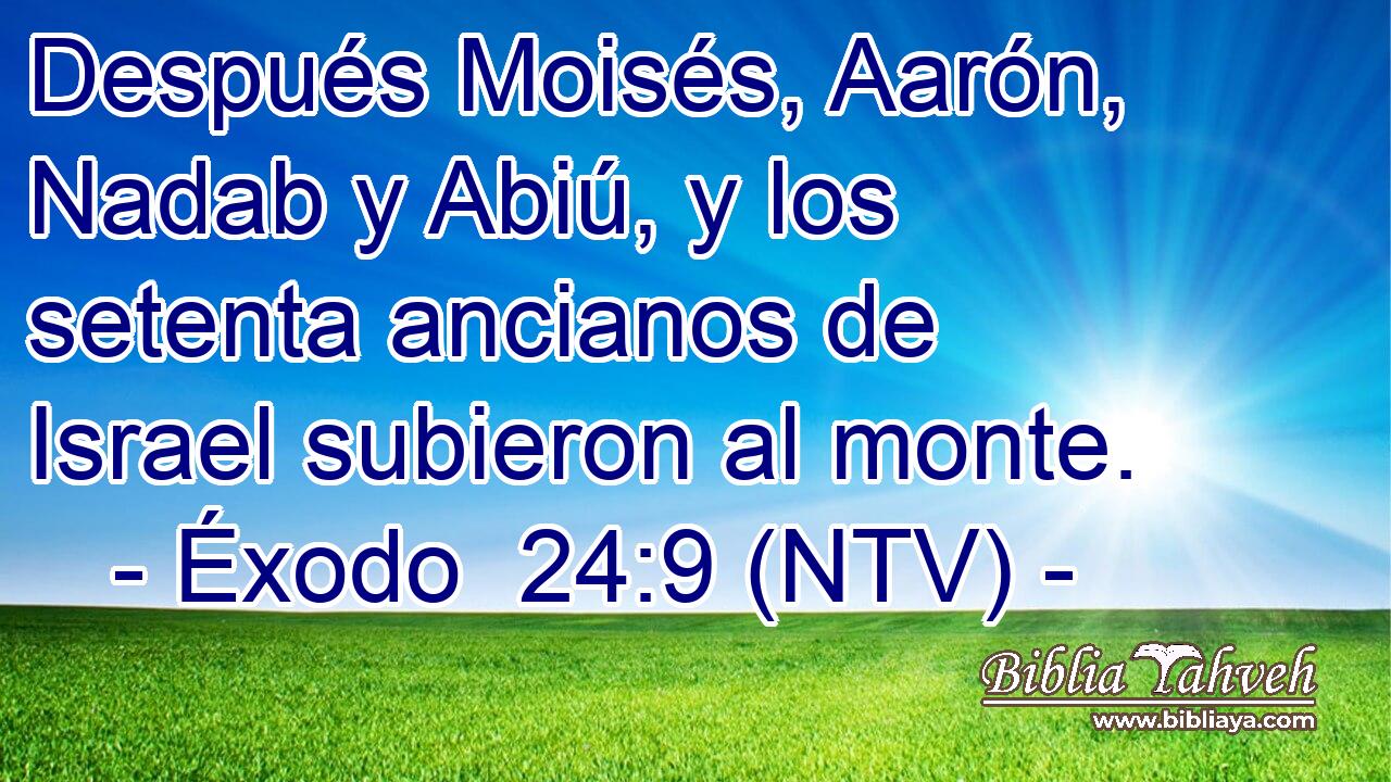 Después Moisés, Aarón, Nadab y Abiú, y los setenta ancianos de Israel subieron al monte.