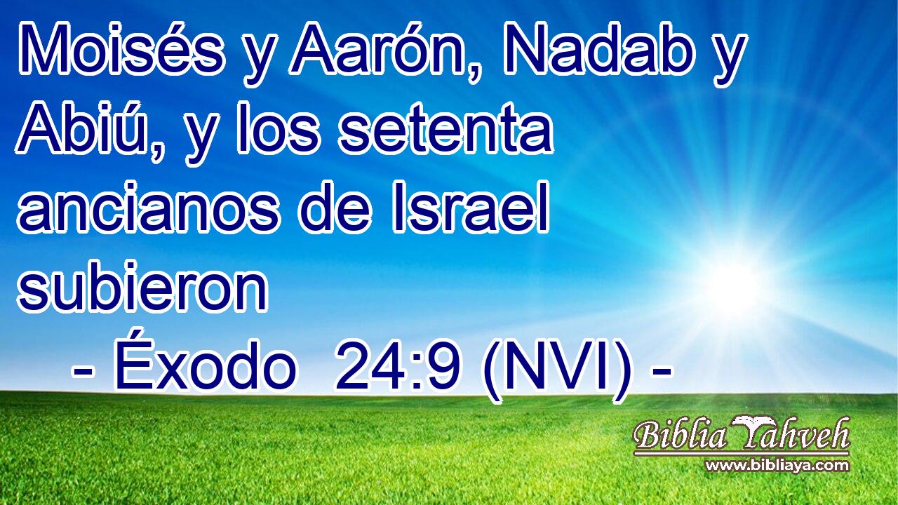  Moisés y Aarón, Nadab y Abiú, y los setenta ancianos de Israel subieron 