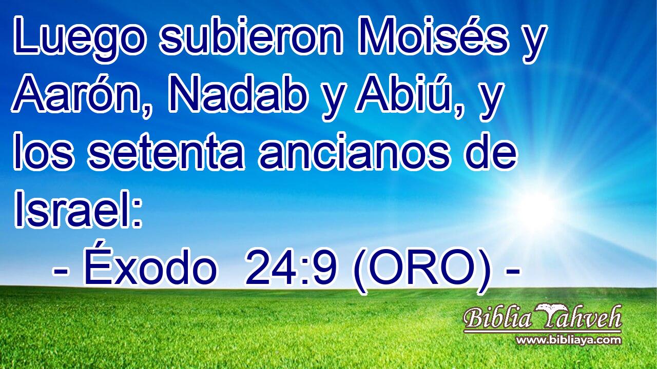  Luego subieron Moisés y Aarón, Nadab y Abiú, y los setenta ancianos de Israel: 