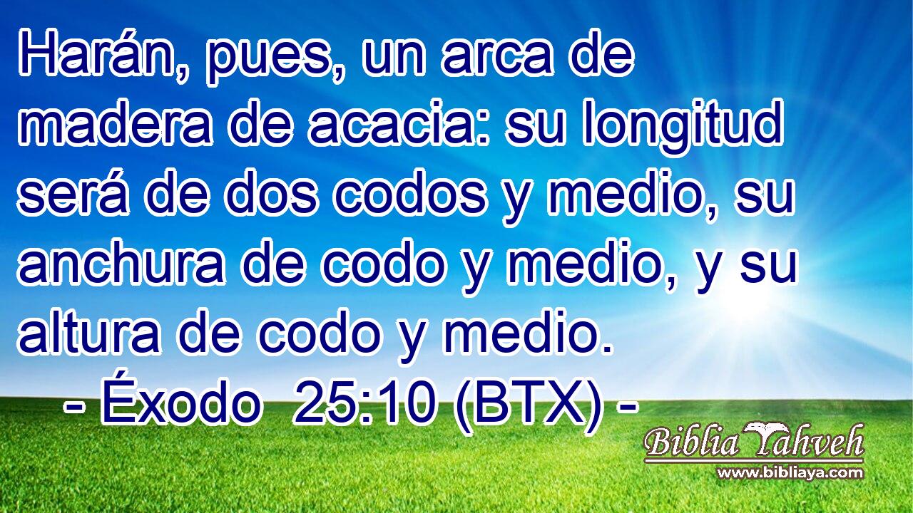 Harán, pues, un arca de madera de acacia: su longitud será de dos codos y medio, su anchura de codo y medio, y su altura de codo y medio.