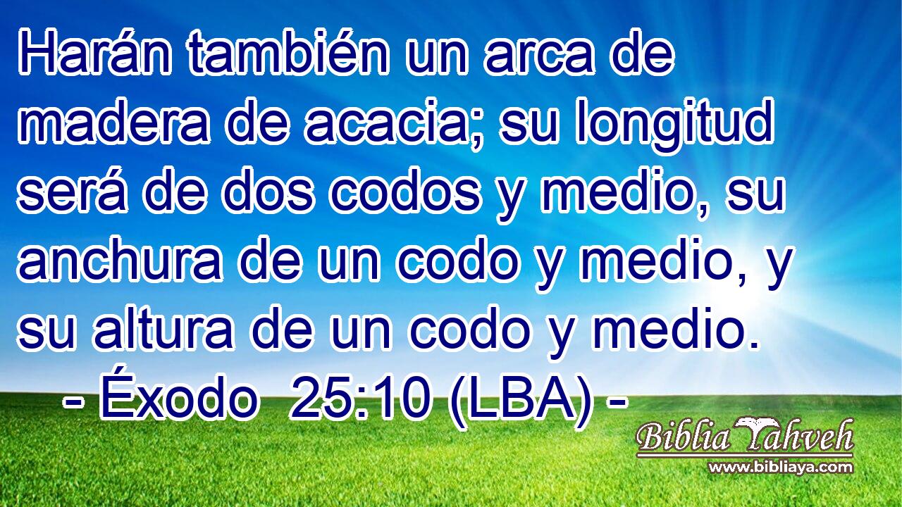 Harán también un arca de madera de acacia; su longitud será de dos codos y medio, su anchura de un codo y medio, y su altura de un codo y medio.