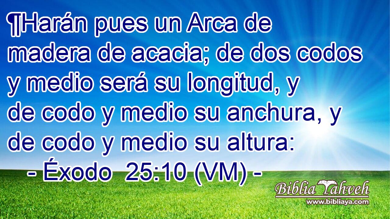  ¶Harán pues un Arca de madera de acacia; de dos codos y medio será su longitud, y de codo y medio su anchura, y de codo y medio su altura: 