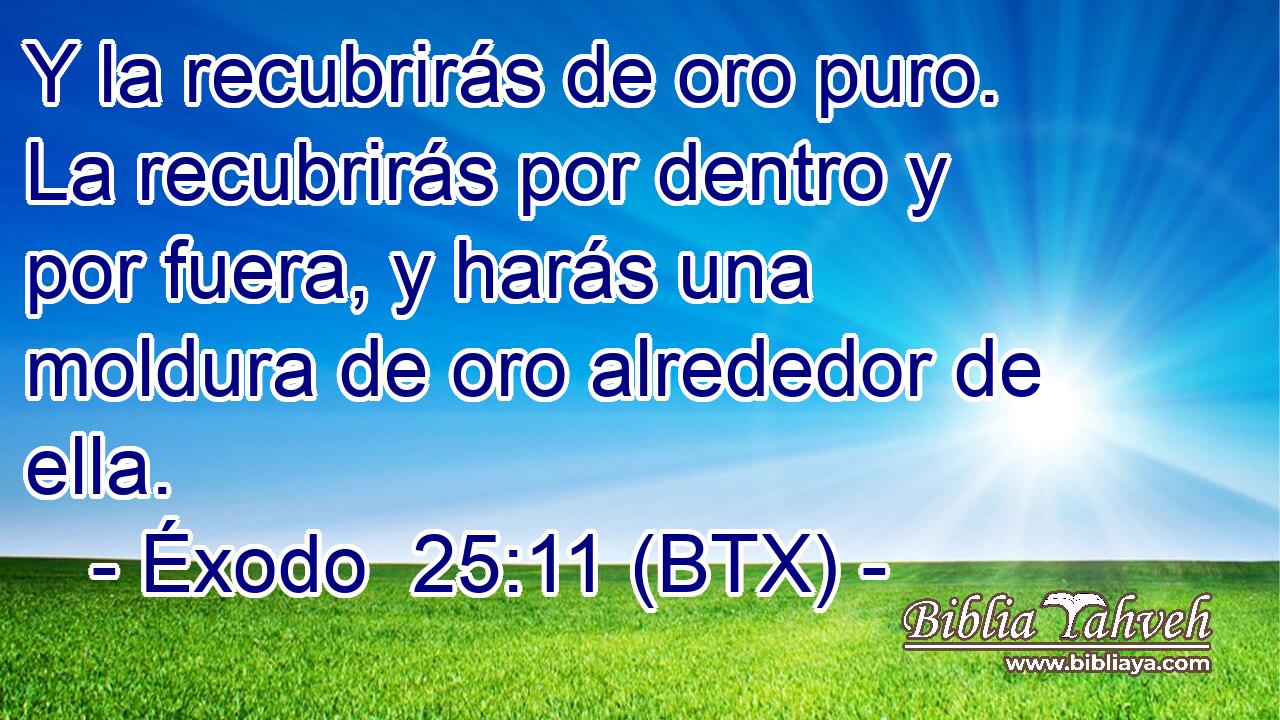 Y la recubrirás de oro puro. La recubrirás por dentro y por fuera, y harás una moldura de oro alrededor de ella.