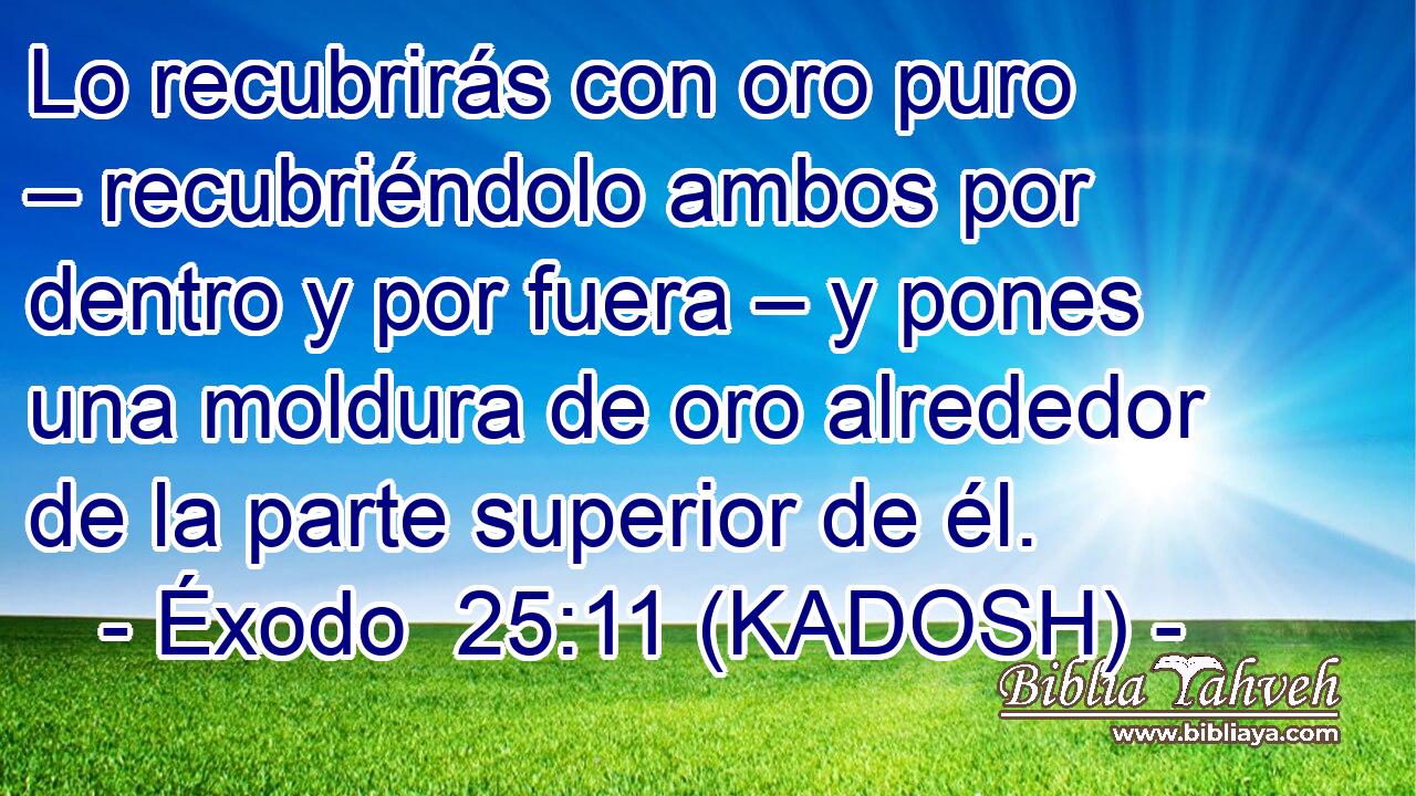  Lo recubrirás con oro puro – recubriéndolo ambos por dentro y por fuera – y pones una moldura de oro alrededor de la parte superior de él. 