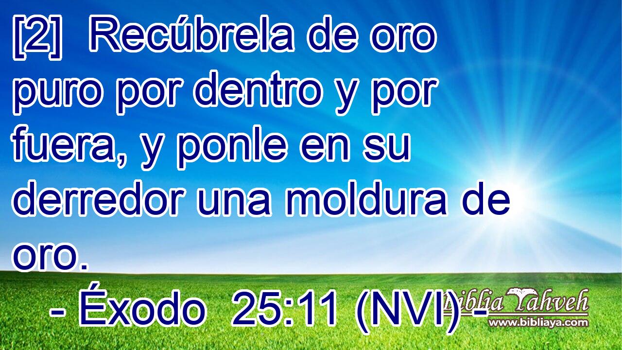  [2]  Recúbrela de oro puro por dentro y por fuera, y ponle en su derredor una moldura de oro. 