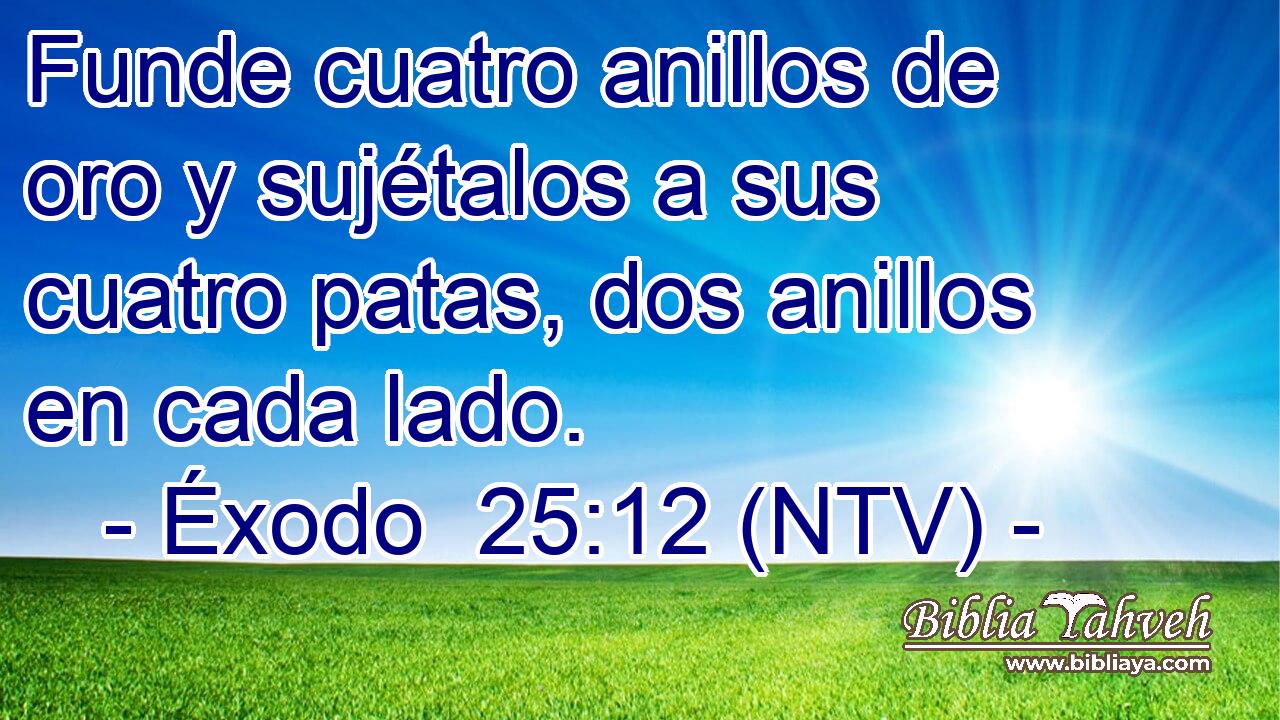 Funde cuatro anillos de oro y sujétalos a sus cuatro patas, dos anillos en cada lado.
