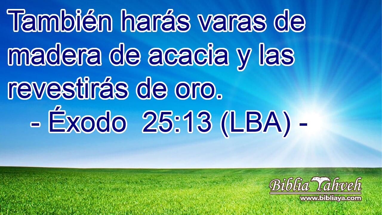También harás varas de madera de acacia y las revestirás de oro.