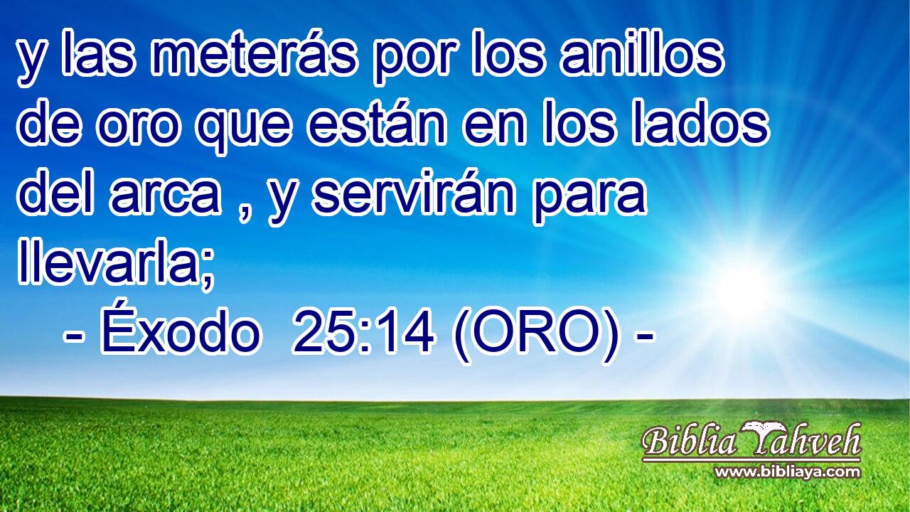  y las meterás por los anillos de oro que están en los lados del arca , y servirán para llevarla; 