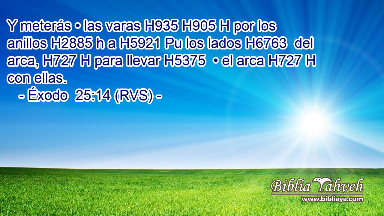 Y meterás • las varas H935 H905 H por los anillos H2885 h a H5921 Pu los lados H6763  del arca, H727 H para llevar H5375  • el arca H727 H con ellas. 