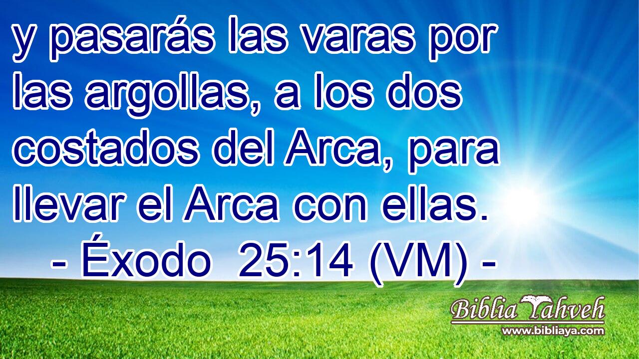  y pasarás las varas por las argollas, a los dos costados del Arca, para llevar el Arca con ellas. 