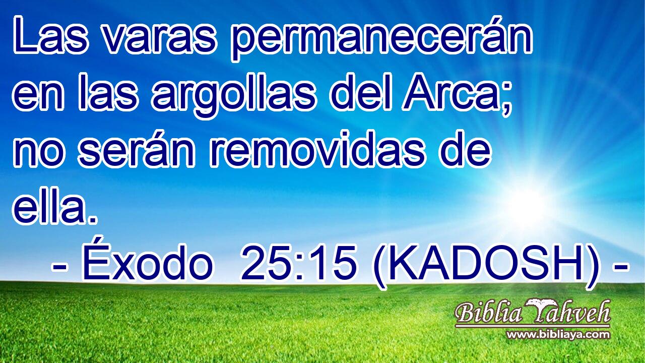  Las varas permanecerán en las argollas del Arca; no serán removidas de ella. 