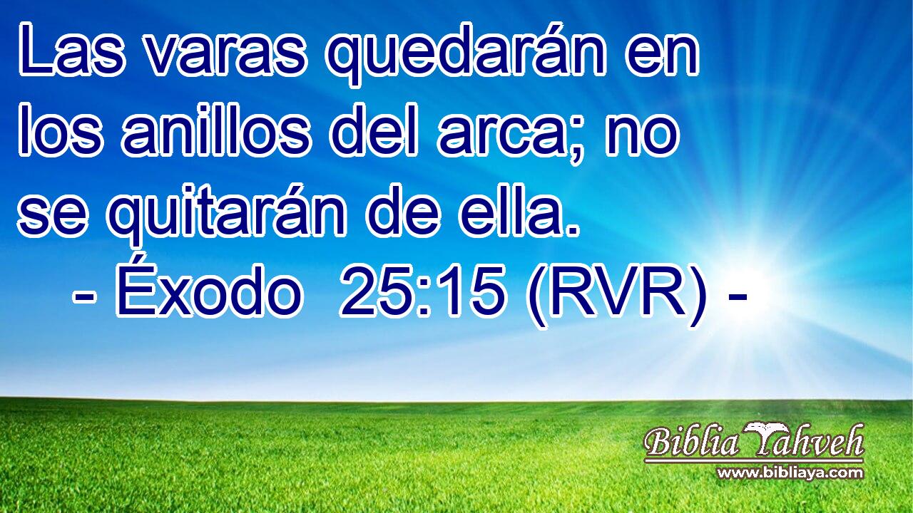 Las varas quedarán en los anillos del arca; no se quitarán de ella.