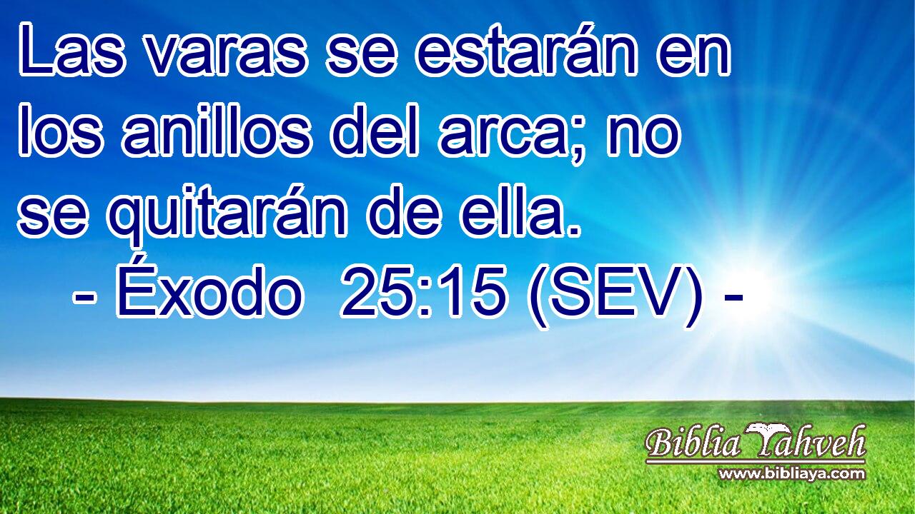 Las varas se estarán en los anillos del arca; no se quitarán de ella.