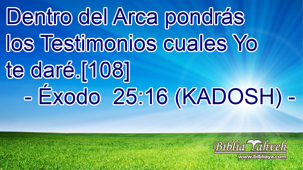  Dentro del Arca pondrás los Testimonios cuales Yo te daré.[108] 