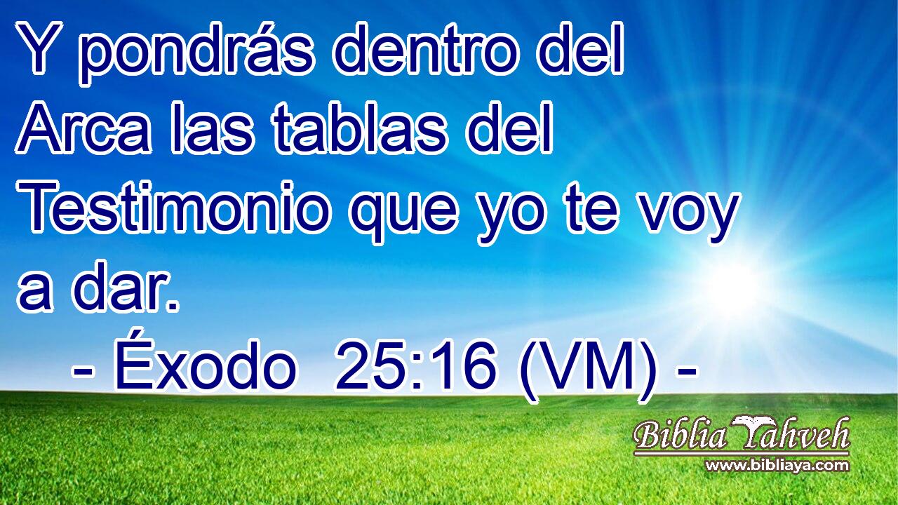  Y pondrás dentro del Arca las tablas del Testimonio que yo te voy a dar. 