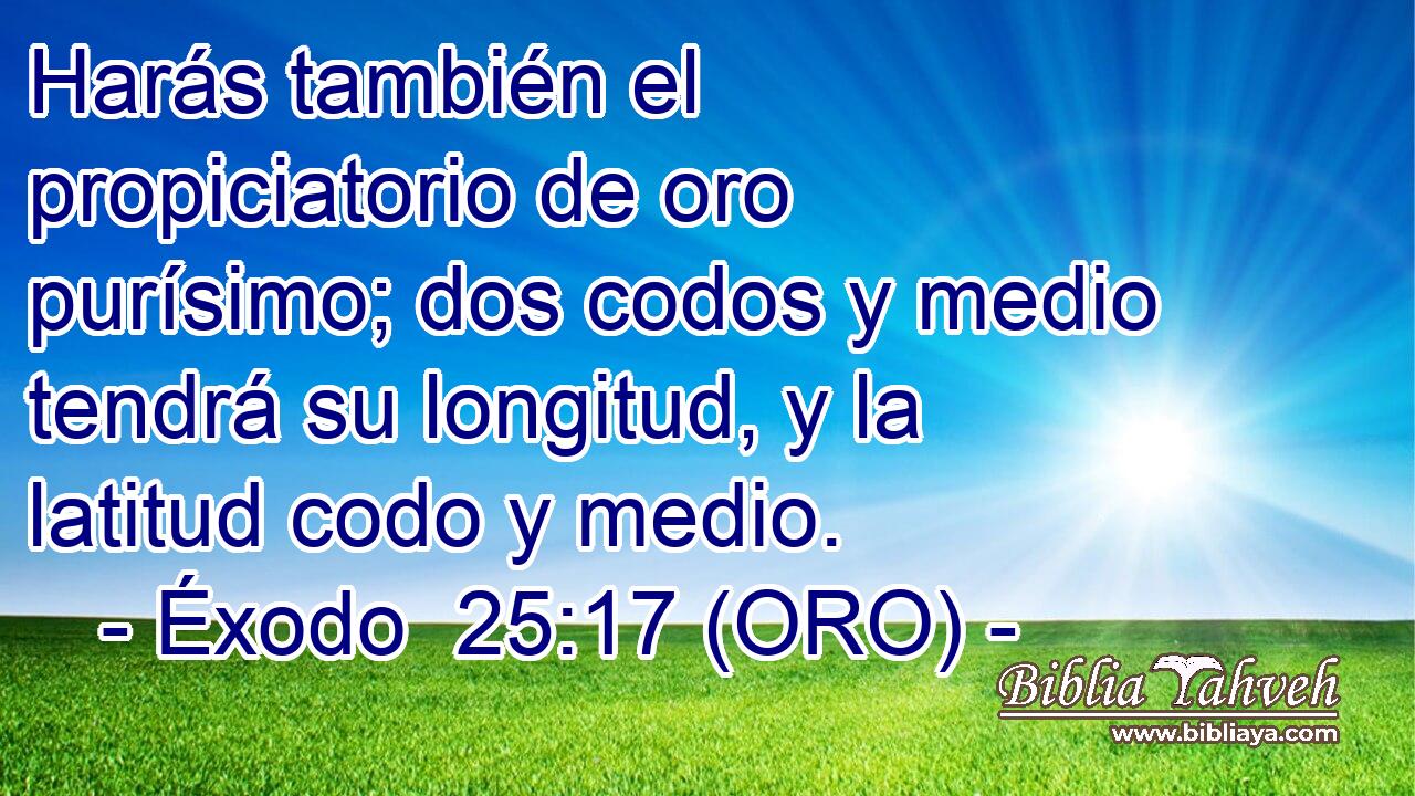  Harás también el propiciatorio de oro purísimo; dos codos y medio tendrá su longitud, y la latitud codo y medio. 