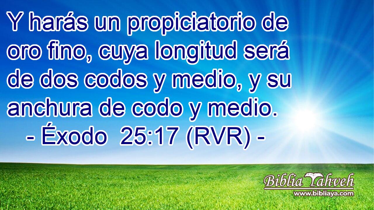Y harás un propiciatorio de oro fino, cuya longitud será de dos codos y medio, y su anchura de codo y medio.