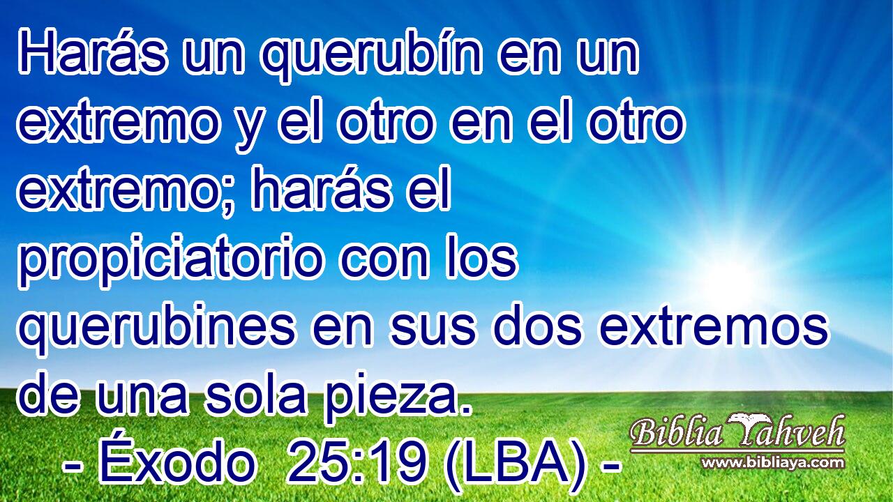 Harás un querubín en un extremo y el otro en el otro extremo; harás el propiciatorio con los querubines en sus dos extremos de una sola pieza.