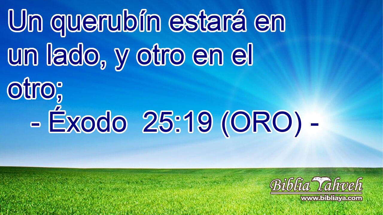 Un querubín estará en un lado, y otro en el otro; 