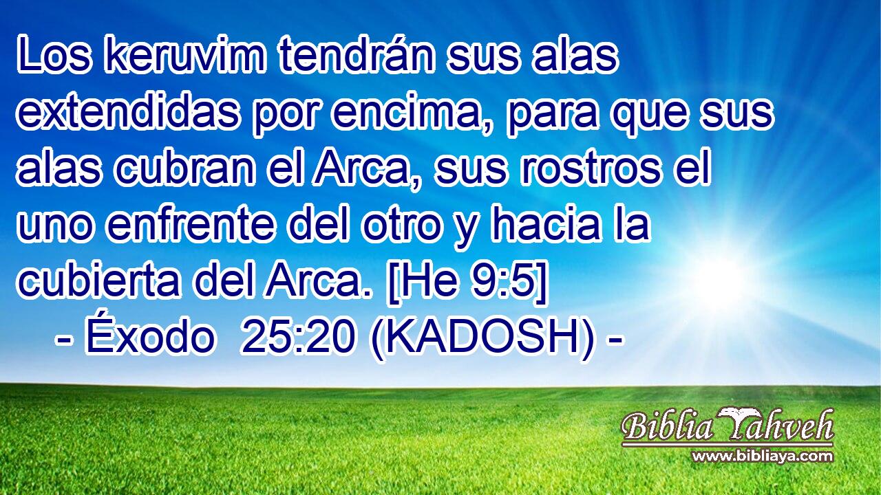  Los keruvim tendrán sus alas extendidas por encima, para que sus alas cubran el Arca, sus rostros el uno enfrente del otro y hacia la cubierta del Arca. [He 9:5] 