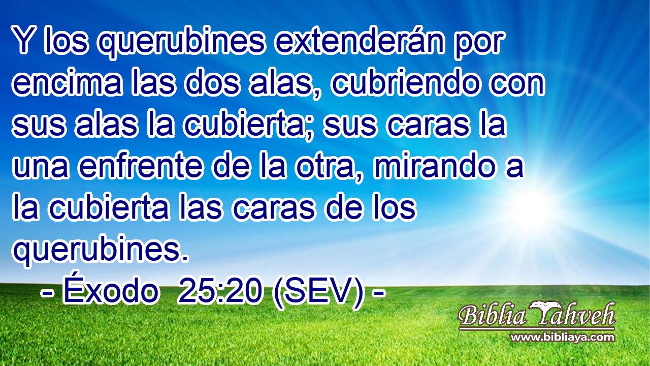 Y los querubines extenderán por encima las dos alas, cubriendo con sus alas la cubierta; sus caras la una enfrente de la otra, mirando a la cubierta las caras de los querubines.