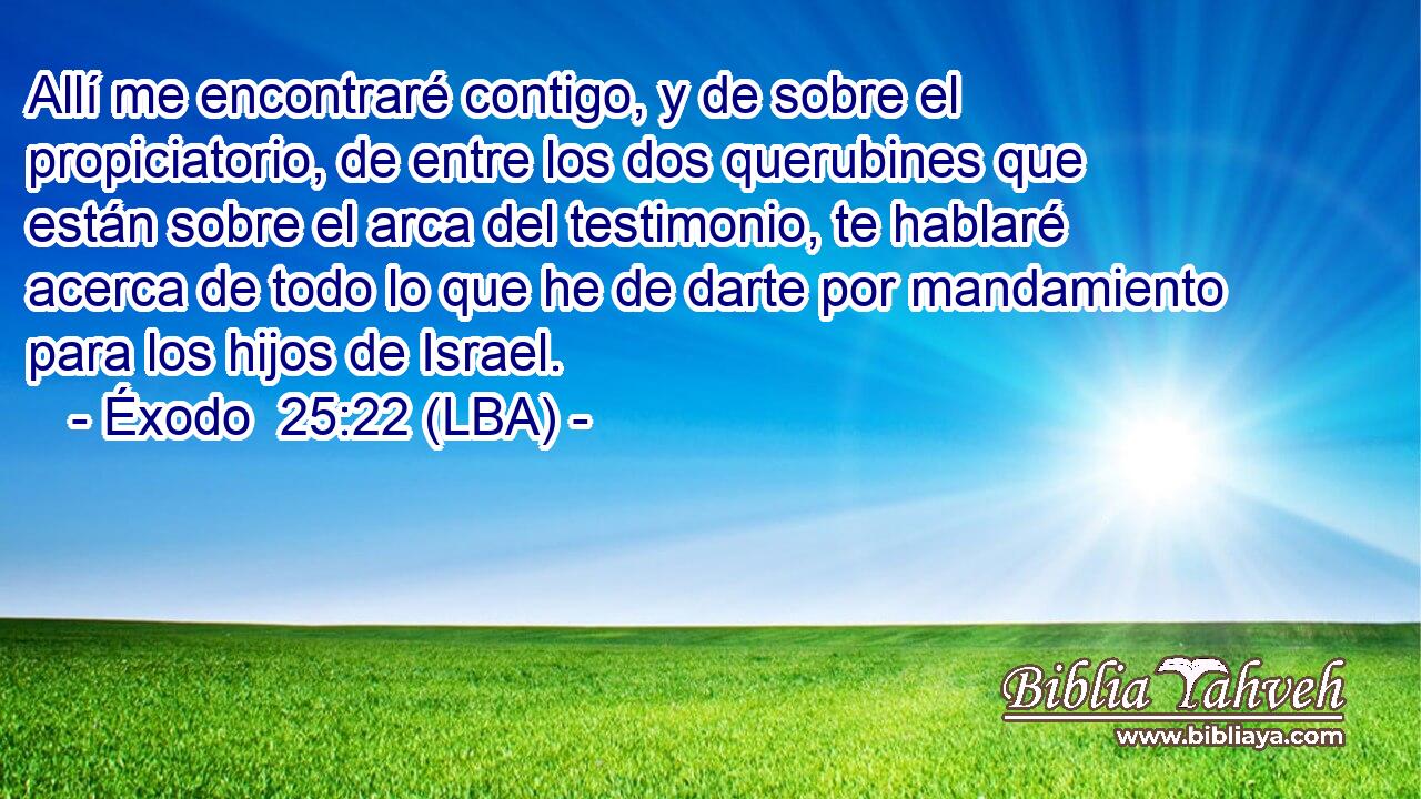 Allí me encontraré contigo, y de sobre el propiciatorio, de entre los dos querubines que están sobre el arca del testimonio, te hablaré acerca de todo lo que he de darte por mandamiento para los hijos de Israel.