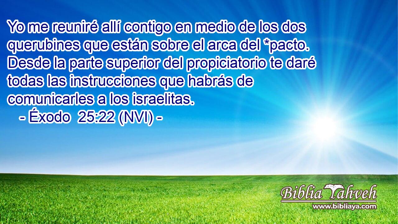  Yo me reuniré allí contigo en medio de los dos querubines que están sobre el arca del *pacto. Desde la parte superior del propiciatorio te daré todas las instrucciones que habrás de comunicarles a los israelitas. 