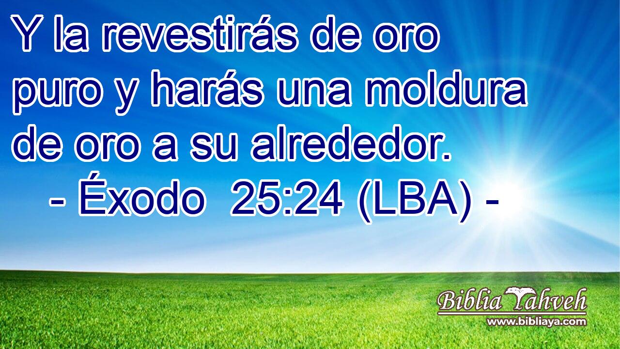 Y la revestirás de oro puro y harás una moldura de oro a su alrededor.